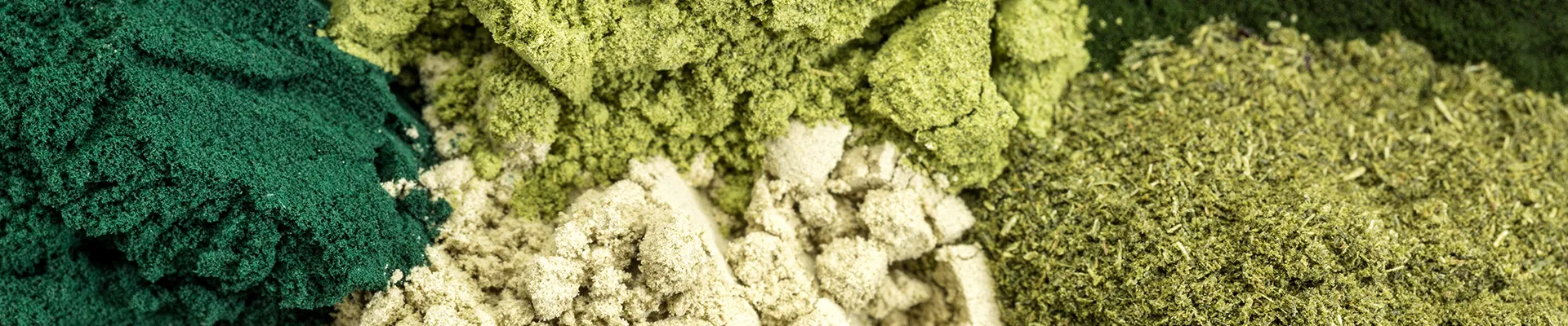 nutraceuticals ingredients distributor,Brain Health ingredients,Sports Nutrition ingredients